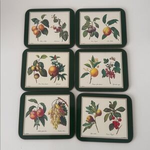 Like New Jason Fruit Illustration Coasters set of 6